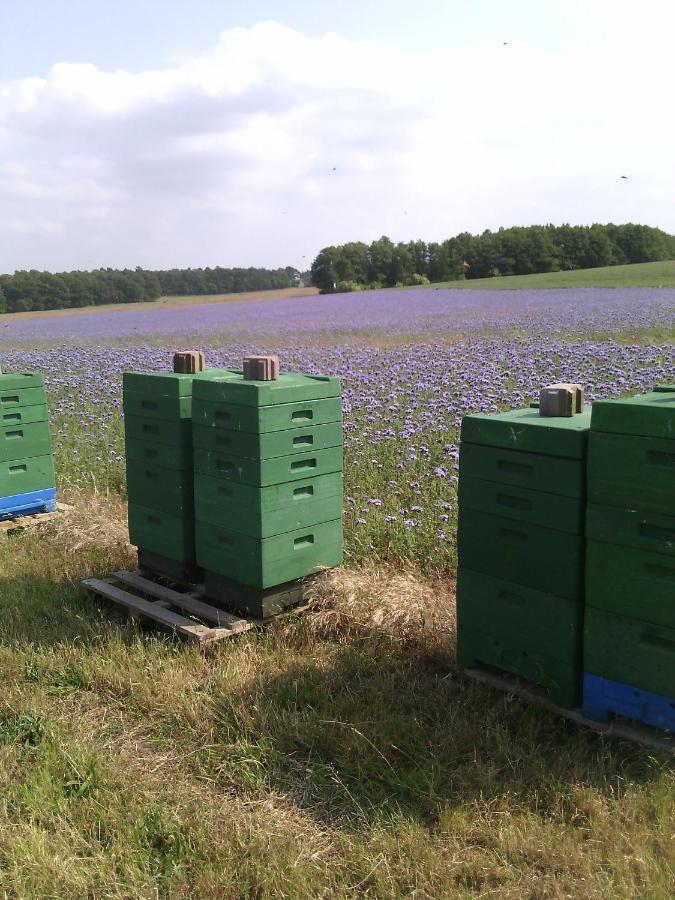 Вилла Kalmar 8 Kagsdorf Экстерьер фото